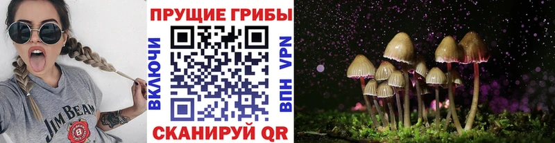 Псилоцибиновые грибы Psilocybe  даркнет сайт  KRAKEN   Салаир 